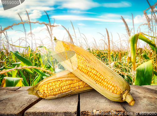 Image of Corn on table