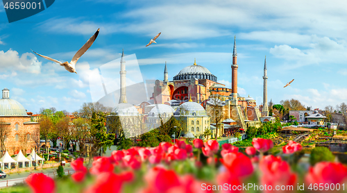 Image of Hagia Sophia at day