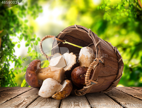 Image of Mushrooms in a basket