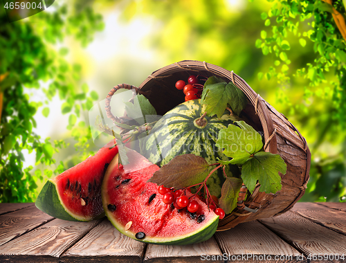 Image of Watermelon in basket