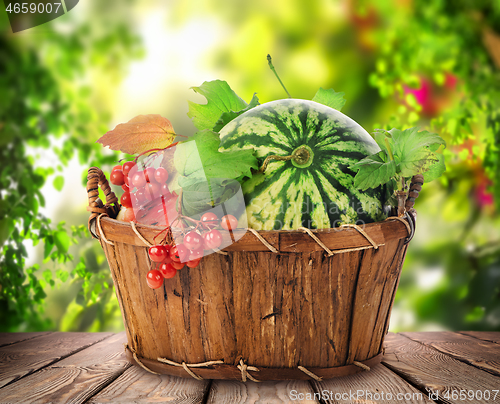 Image of Watermelon in a basket