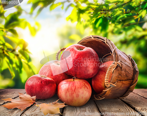 Image of Apples in basket 