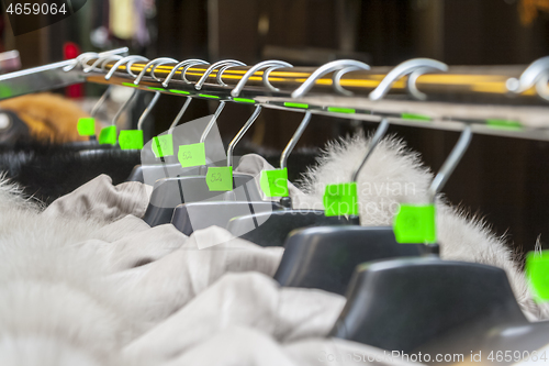 Image of Hangers in a Clothes Shop