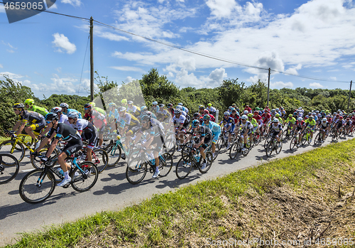 Image of The Peloton - Tour de France 2016