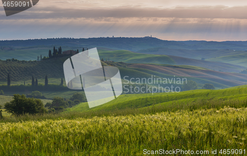 Image of Tuscany landscape at sunrise in Italy