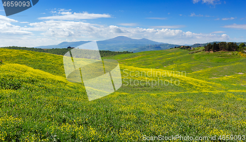 Image of Tuscany hills landscape with yellow fields