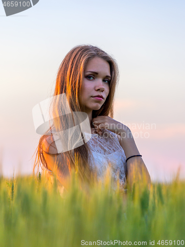 Image of Pretty girl in field at sunset