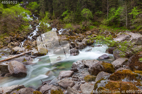 Image of Forest stream in mountains at spring