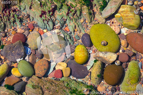 Image of multicolored pebble under clear water