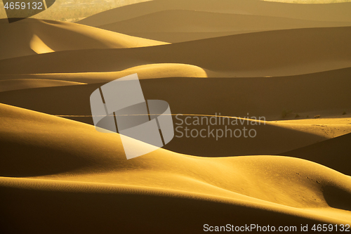 Image of Background with of sandy dunes in desert