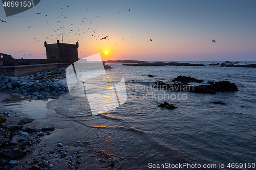 Image of Essaouira fort at sunset with seagulls