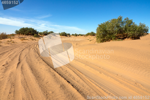 Image of Road in sand and trees in desert