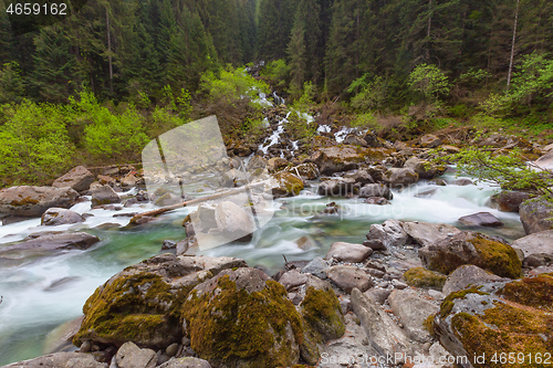 Image of Forest streams in mountains at spring