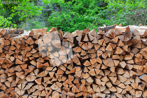 Image of stack of chopped firewood in forest