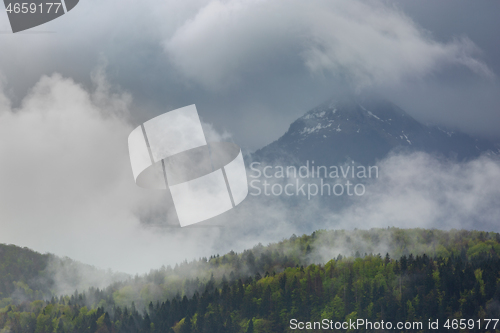 Image of Clouds and fog in forest mountains