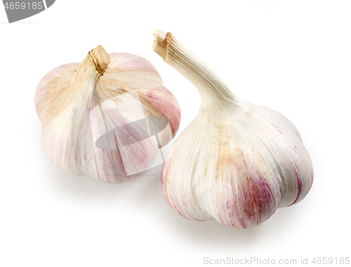 Image of garlic on white background