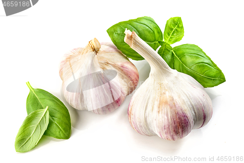 Image of garlic and basil