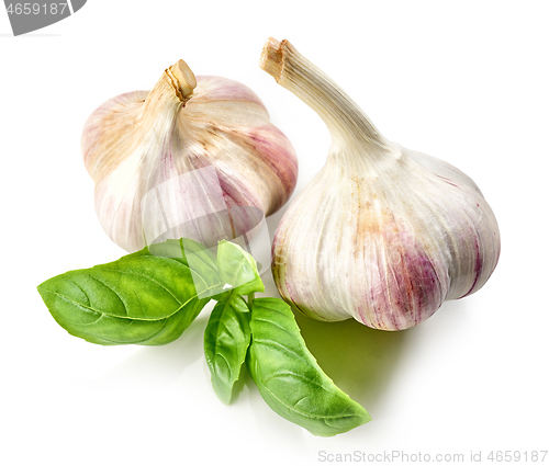 Image of garlic and basil