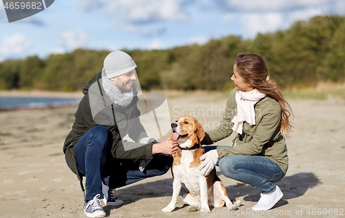 Image of happy couple with beagle dog on autumn beach