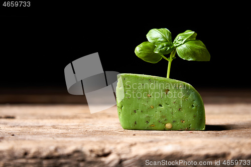 Image of A piece of gourmet basil cheese with twig of basil on rough wooden planks