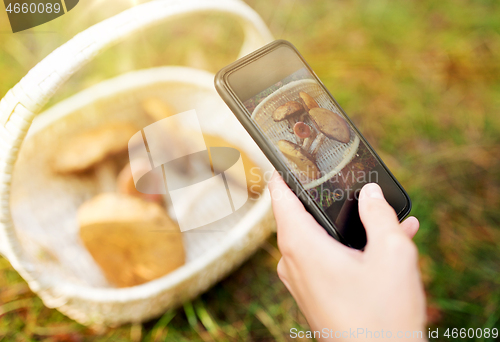 Image of close up of woman photographing mushrooms