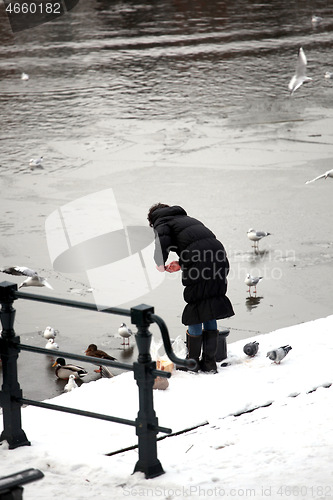 Image of Female feeding pigeons.