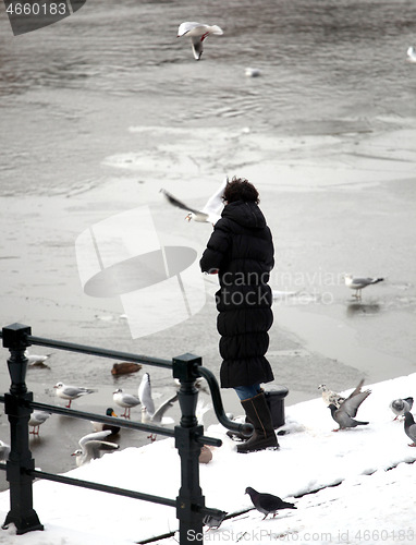 Image of Female feeding pigeons.