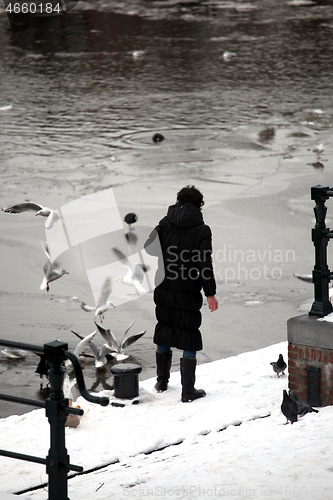 Image of Female feeding pigeons.