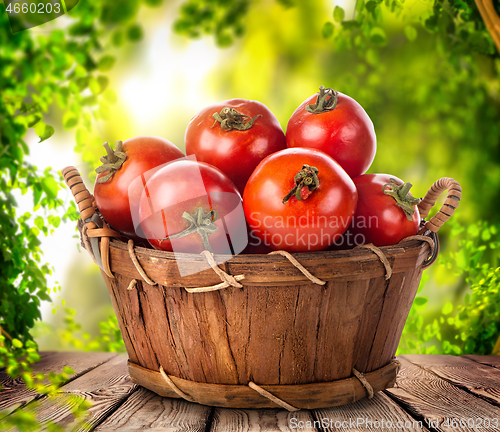 Image of Tomato in basket 