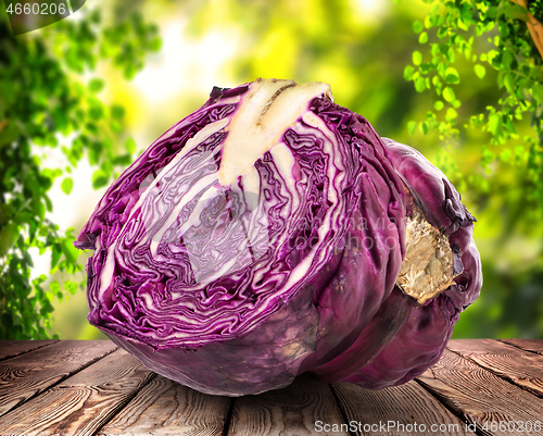 Image of Cabbage on the table