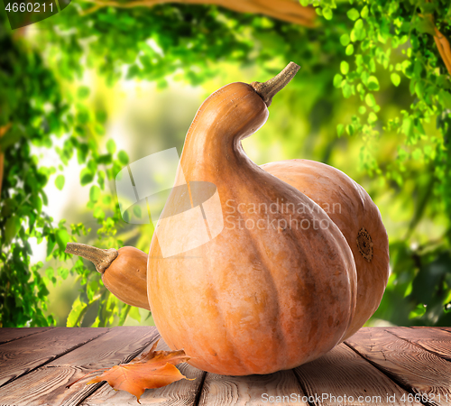 Image of Pumpkin on the table