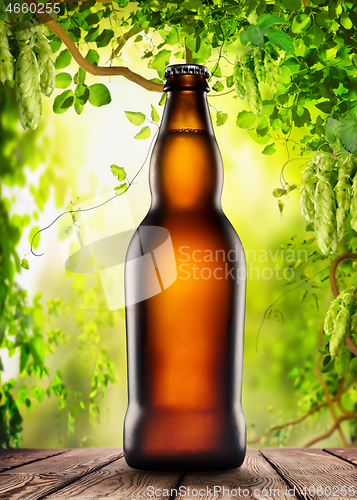 Image of Brown bottle with beer