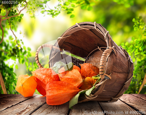 Image of Physalis in a basket