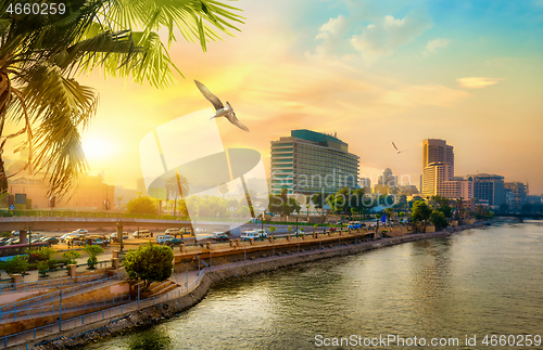 Image of View of modern Cairo