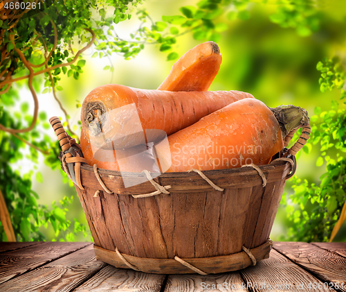 Image of Carrots on the table