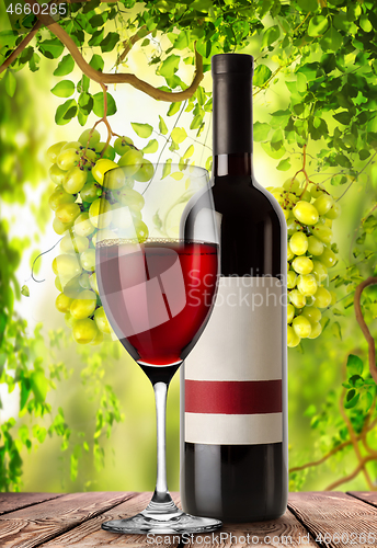 Image of Wine and grapes