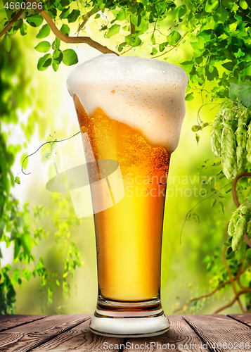 Image of Beer and hops