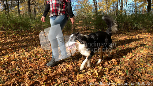 Image of Woman with dog in park