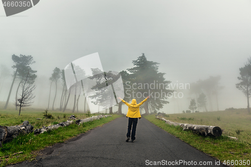 Image of Walking on a foggy road