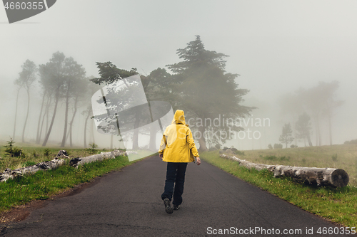 Image of Walking on a foggy road