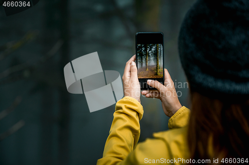 Image of Taking a picture to a forest