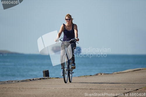 Image of Cycling along Dutch shores