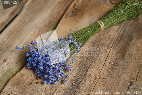 Image of A bunch of lavender flowers on on stone surface