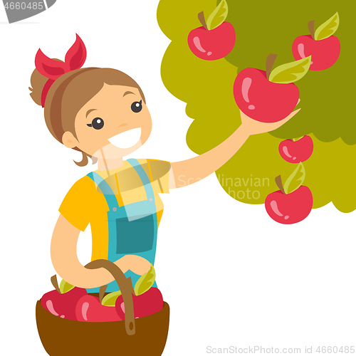 Image of A white woman collects apples from an apple tree in a garden.