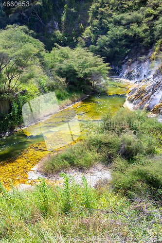 Image of volcanic activities at waimangu