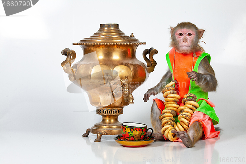 Image of Monkey And Tea