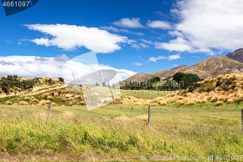 Image of Landscape scenery in south New Zealand