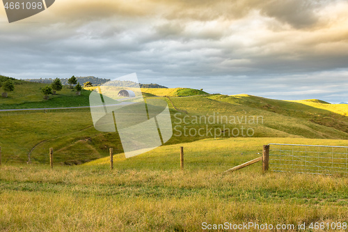 Image of typical rural landscape in New Zealand