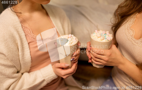 Image of two women drinking hot chocolate with marshmallow