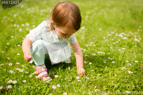 Image of happy little girl at park in summer